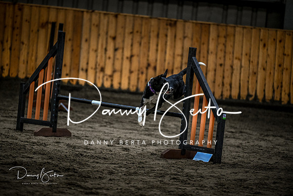 DAN_1372