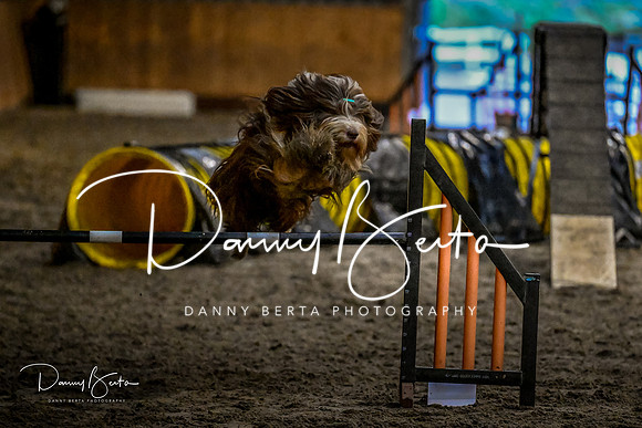 DAN_2084
