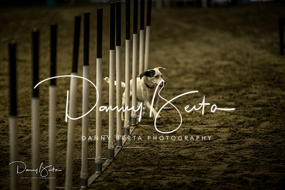 DAN_0790