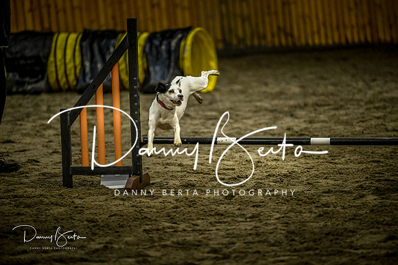 DAN_0803