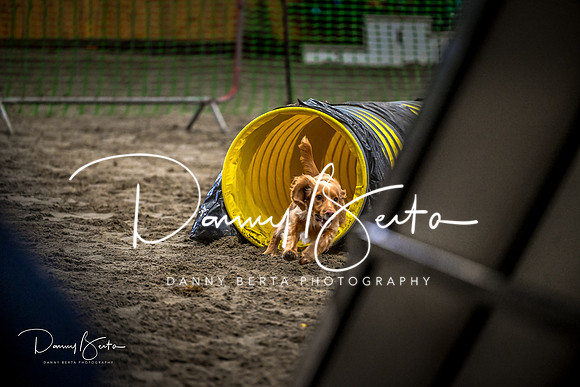 DAN_1364