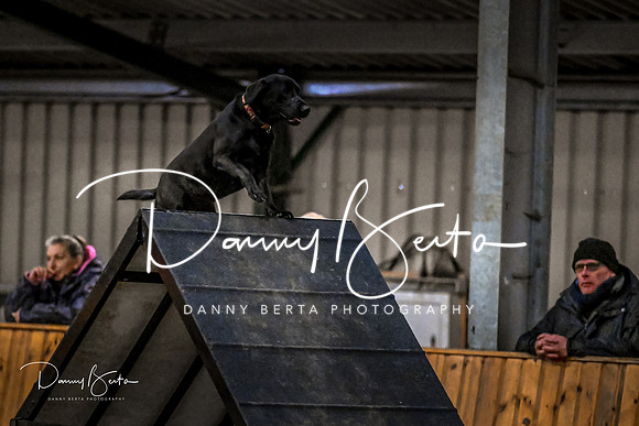 DAN_2049