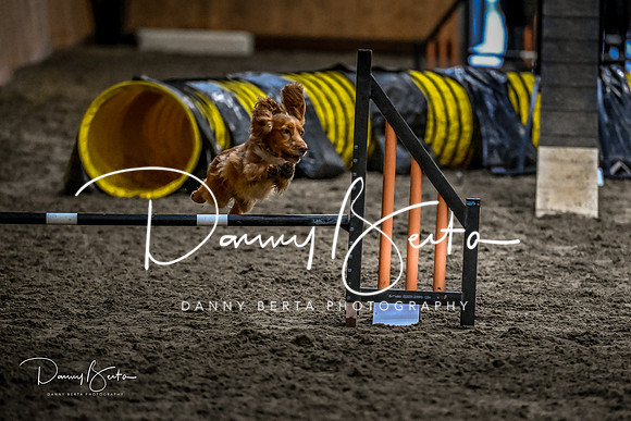 DAN_1815