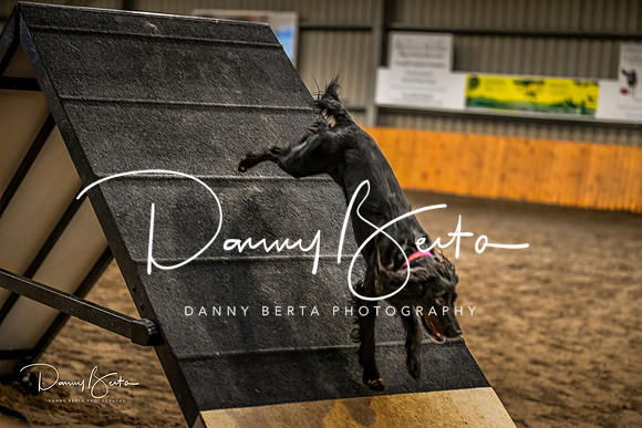 DAN_1397