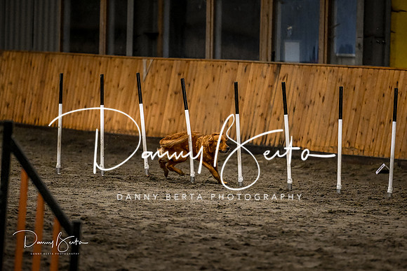 DAN_2034