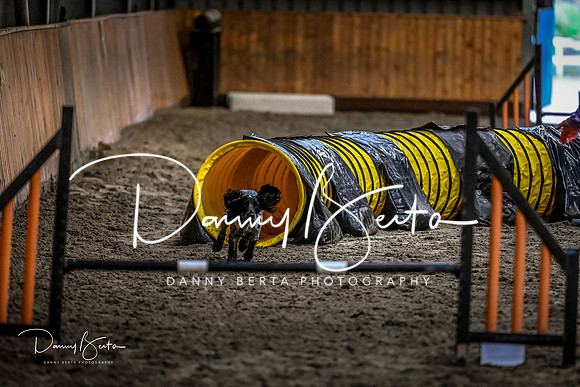 DAN_1773