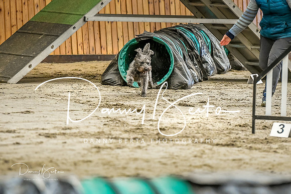 DAN_0279