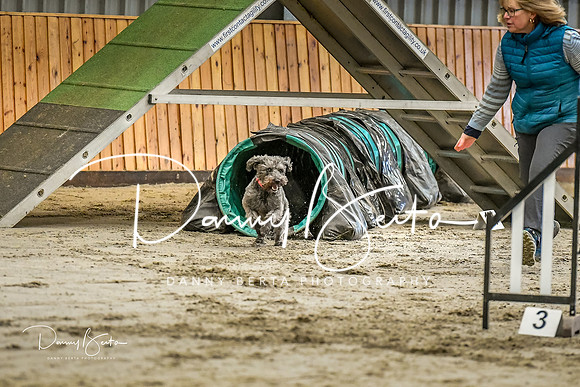 DAN_0278