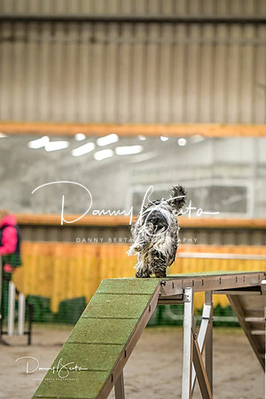 DAN_0249