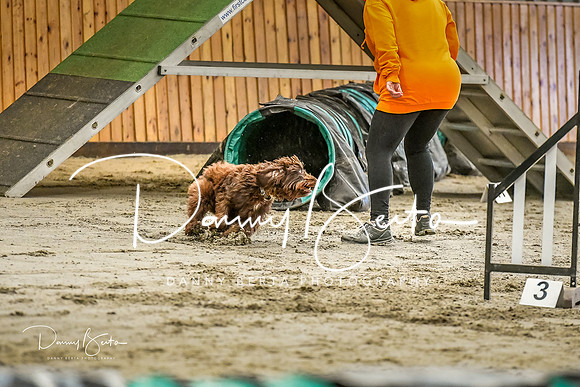 DAN_0262