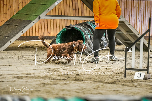 DAN_0263