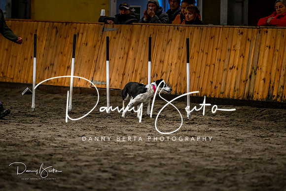 DAN_2016