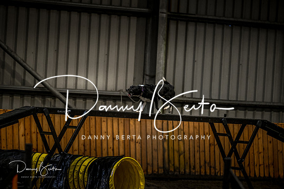 DAN_1369