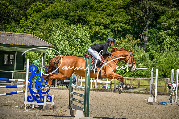 DAN_4070