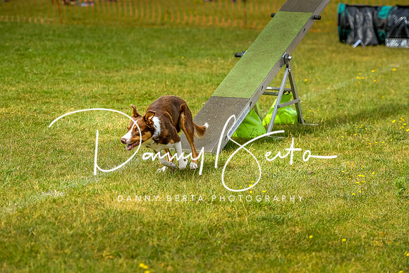 DAN_7047