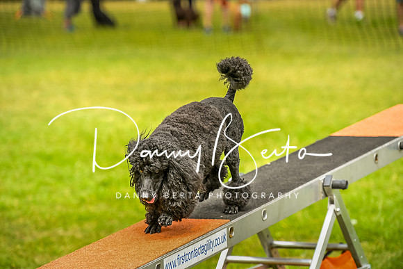 DAN_0130