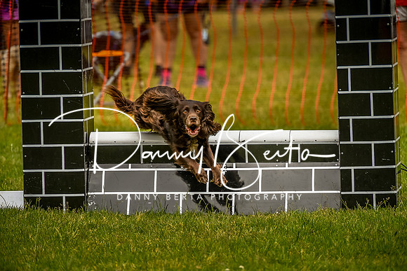 DAN_0092