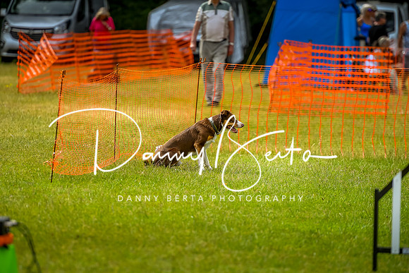 DAN_7023
