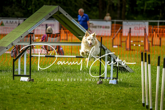 DAN_7055