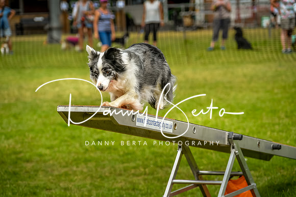 DAN_0172