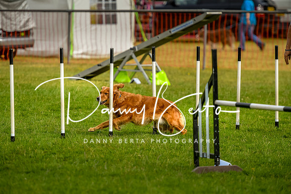 DAN_6113