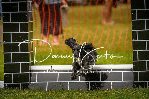 DAN_0633