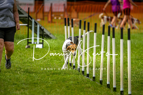 DAN_7005