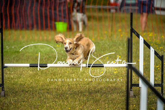 DAN_9056
