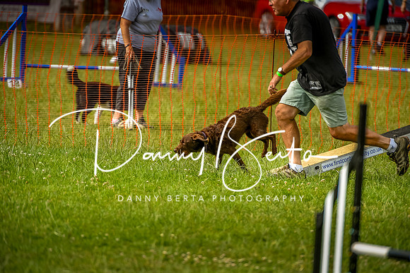 DAN_9082