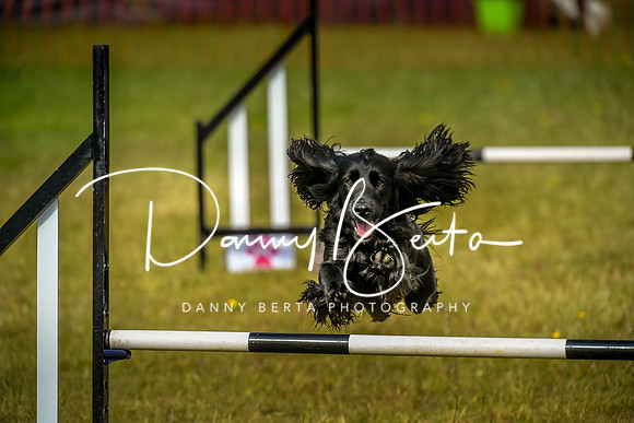 DAN_9041