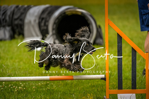 DAN_0644