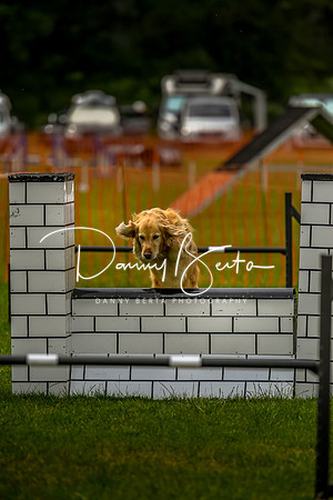 DAN_7811