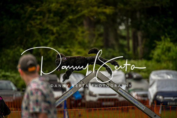 DAN_0135