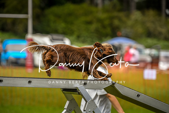 DAN_0162
