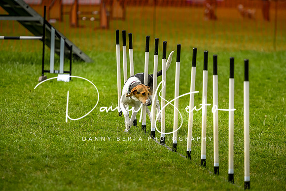 DAN_7002