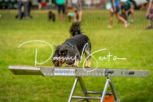 DAN_0143