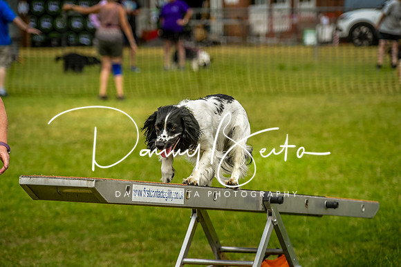 DAN_0080