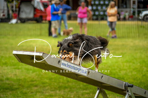 DAN_0619
