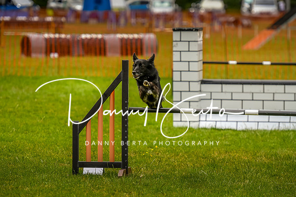 DAN_7798