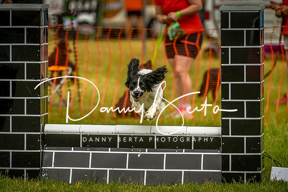 DAN_0079