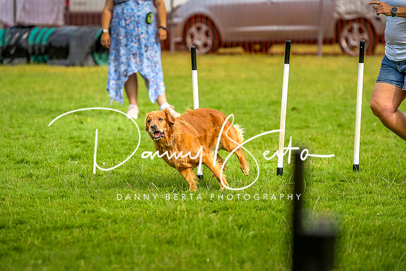 DAN_6118