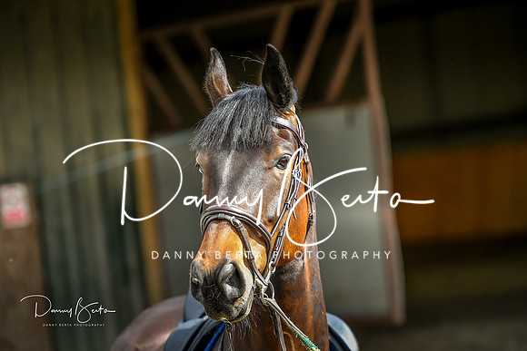 DAN_5960