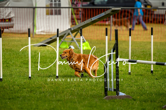DAN_6112