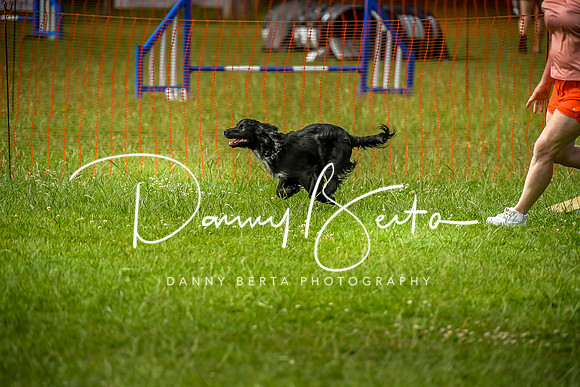 DAN_9062