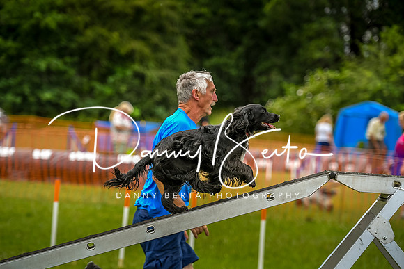 DAN_0638