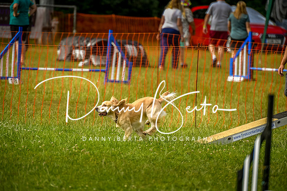 DAN_9045