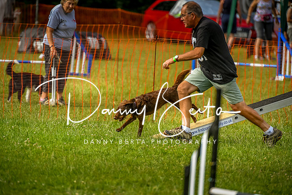 DAN_9081