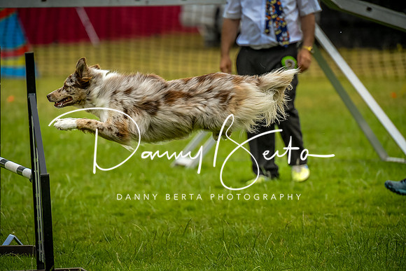 DAN_9759