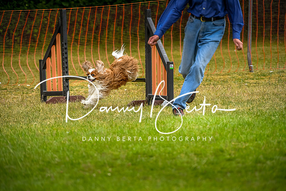 DAN_0766