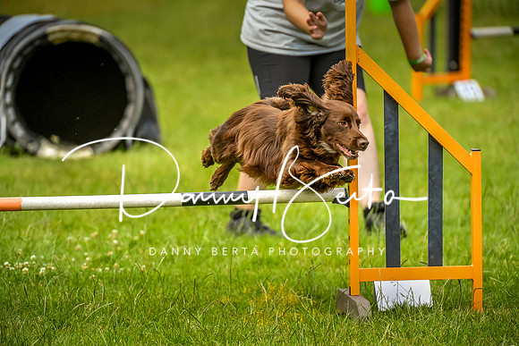 DAN_0168